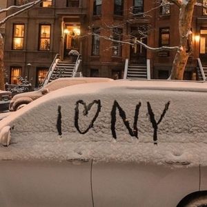 Meet your Posher, Peachleaf